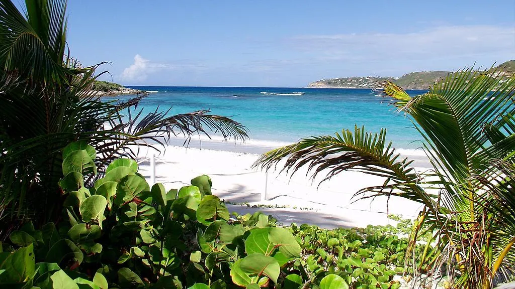 Tropical Hotel St Barth Gustavia